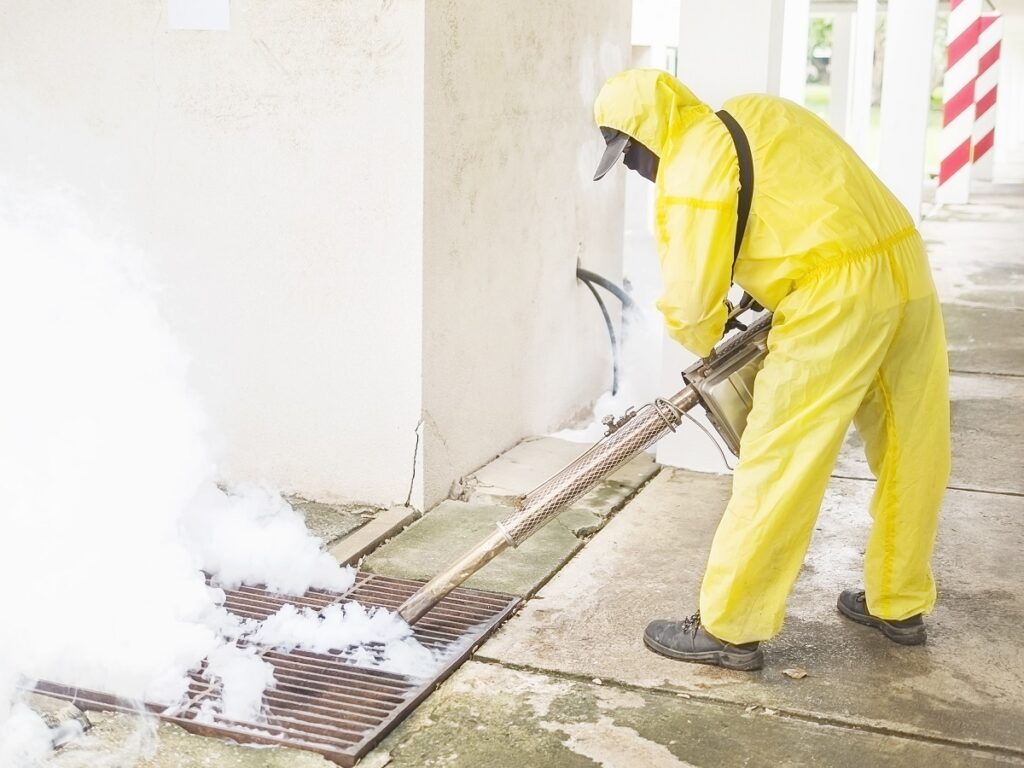 Buzz Boss local pest control Winnipeg